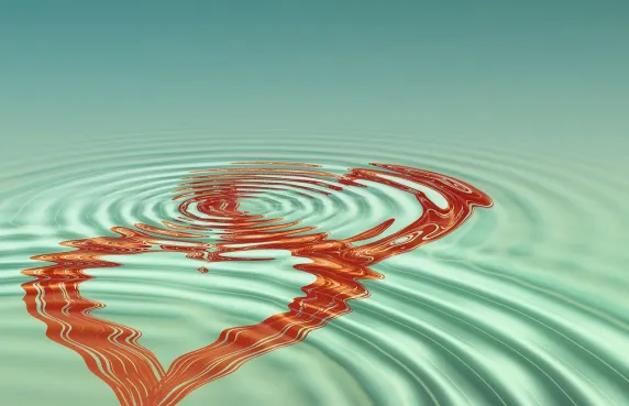 Casino Black Label Ondersteuning